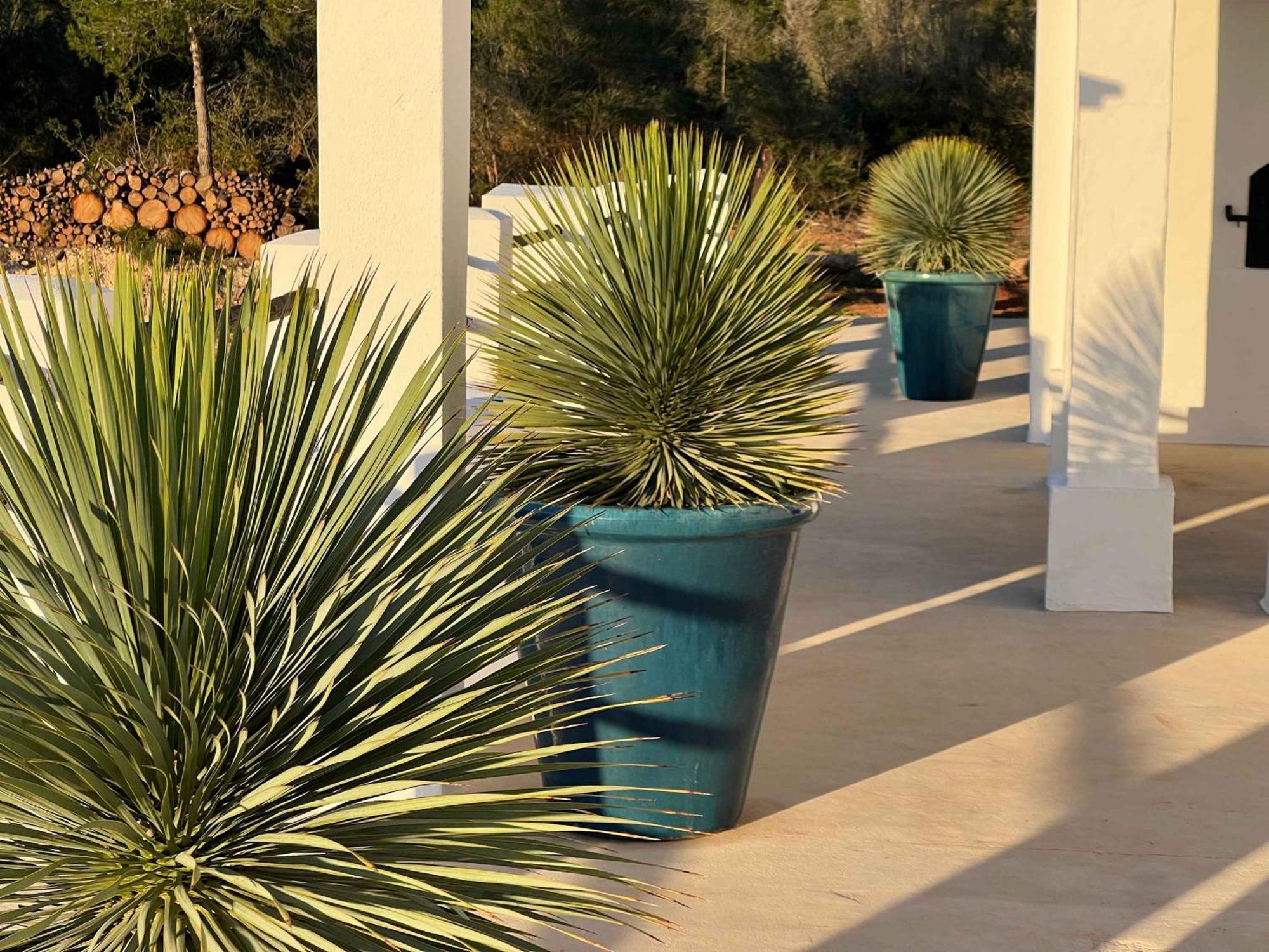 Amasana - Your Sanctuary Of Peace In Ibiza - 6 Br Villa