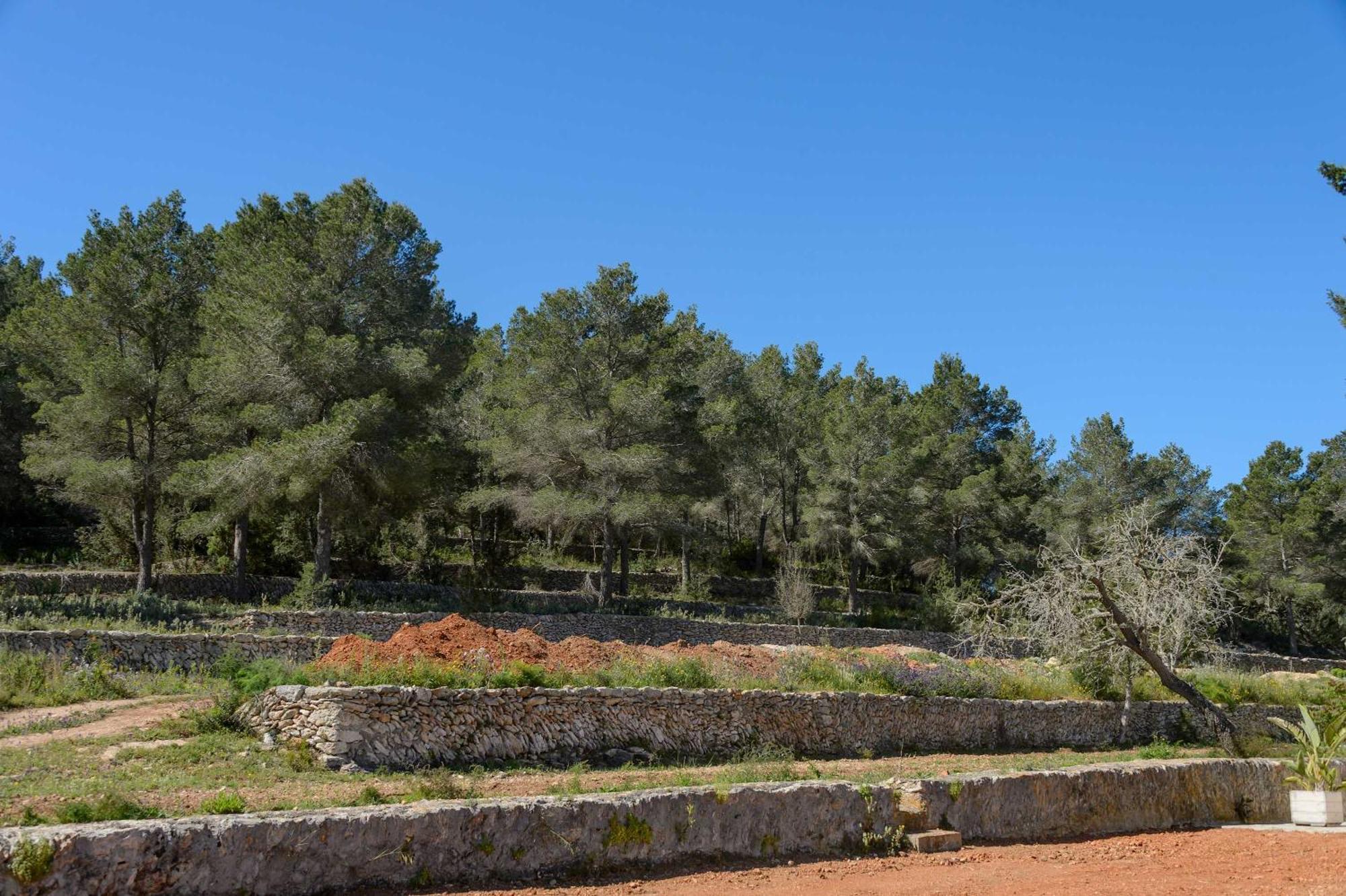Villa Amasana - Your Sanctuary Of Peace In Ibiza - 6 Br *