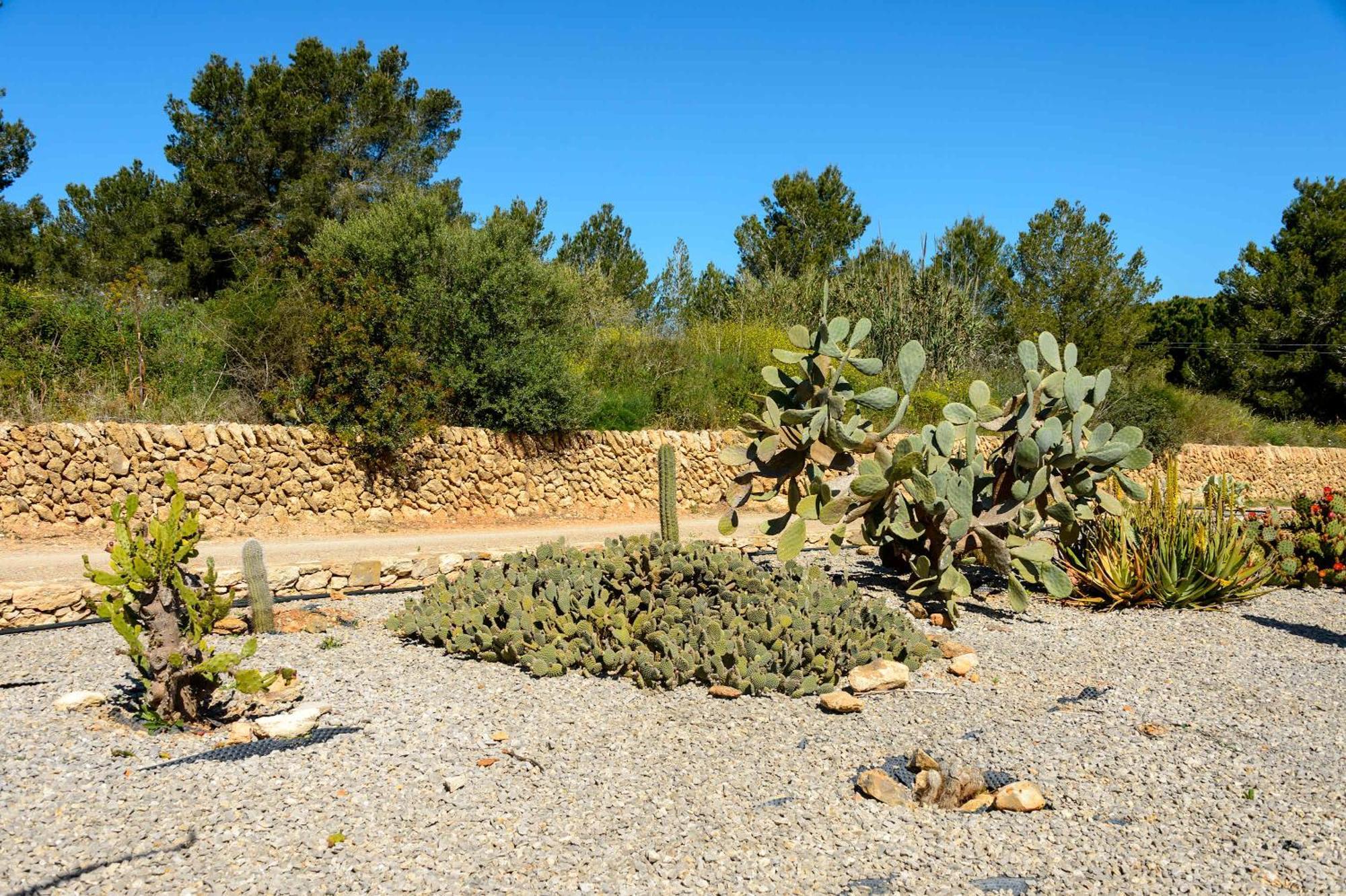 Villa Amasana - Your Sanctuary Of Peace In Ibiza - 6 Br *