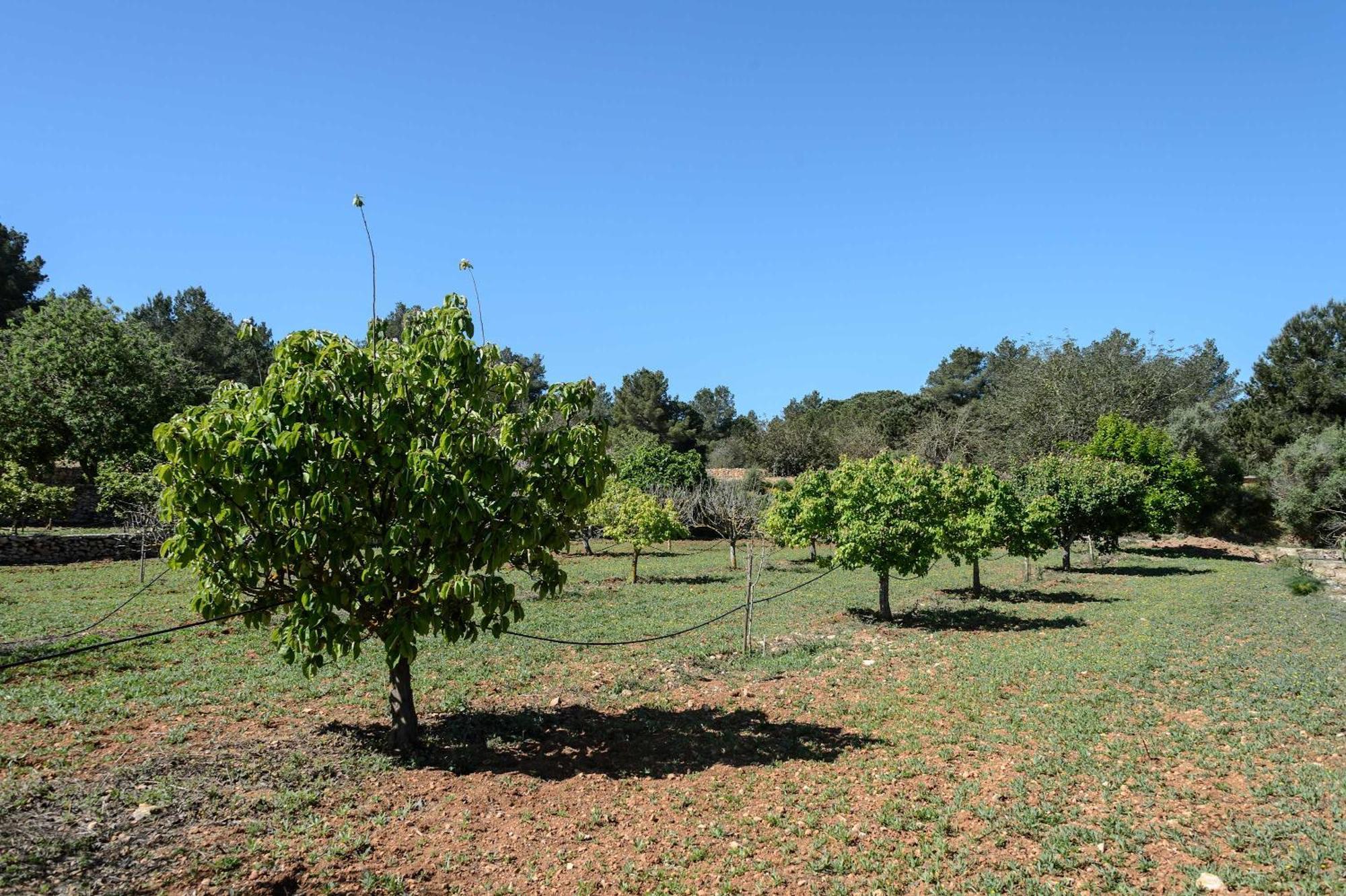 Amasana - Your Sanctuary Of Peace In Ibiza - 6 Br * Santa Eularia des Riu