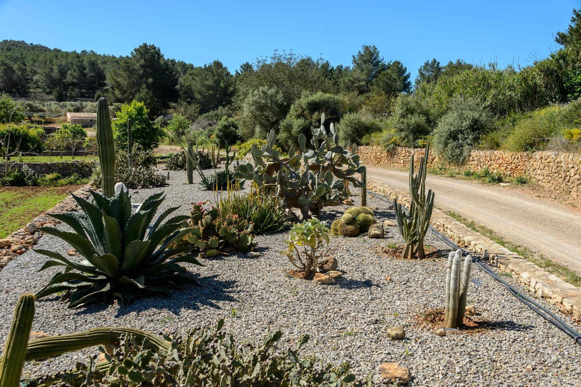 Amasana - Your Sanctuary Of Peace In Ibiza - 6 Br Santa Eularia des Riu