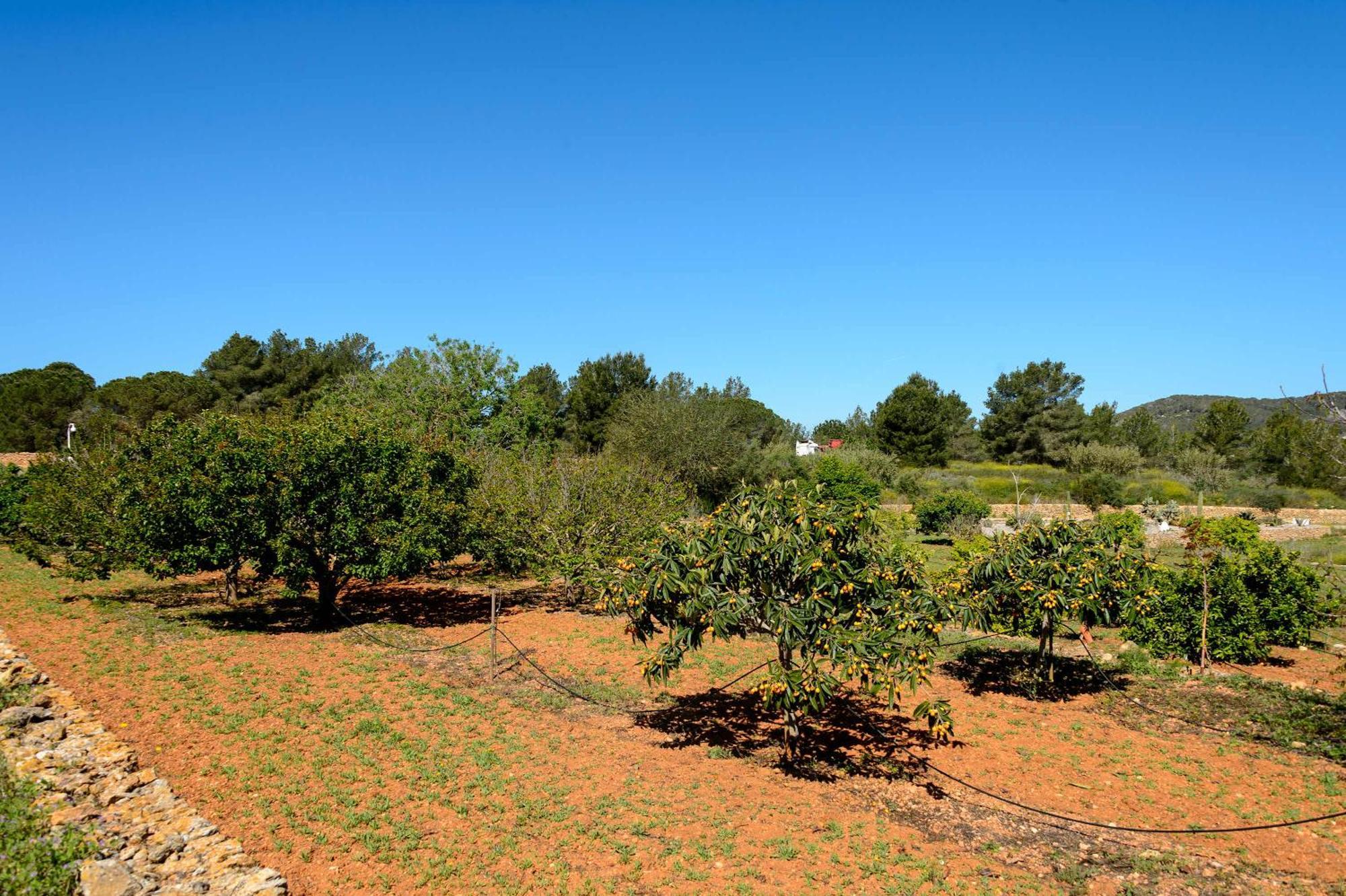 Amasana - Your Sanctuary Of Peace In Ibiza - 6 Br